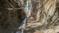 A close-up view of underground PVC pipes and cables running through a narrow, freshly dug trench in soil, illustrating the process involved in Sewer Line Repair vs. Replacement.