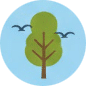 Illustration of a green tree with simple branches on a blue circle background