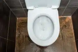 An overhead shot looking down into a white toilet bowl where water is bubbling or swirling, suggesting it has just been flushed or is actively flushing.