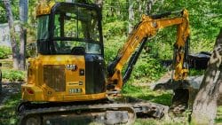 Yellow CAT 303.5 mini excavator parked on grass in a wooded area, with its bucket resting against a tree.