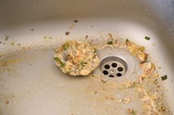 Leftover food scraps and debris are collected around a drain in a stainless steel kitchen sink, which may require Emergency Plumbing in Oak Ridge if the blockage worsens.