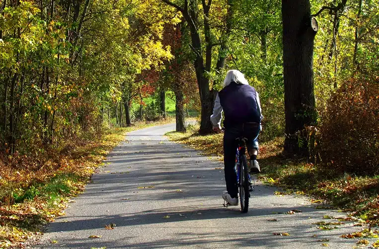 A person riding a bicycle along a paved tree-lined path surrounded by colorful autumn foliage.