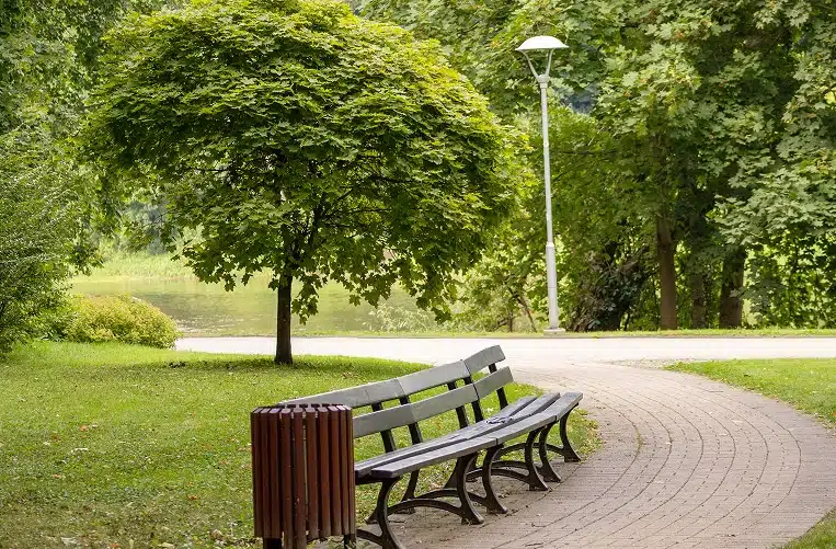 A serene outdoor scene with bench in the park