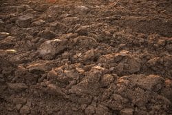 Close-up view of freshly plowed soil, showing uneven, rough clumps of earth with a brown, earthy texture.