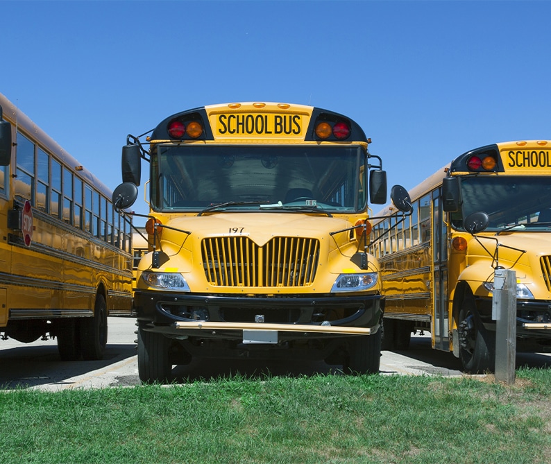 Three yellow school buses are parked side by side on a sunny day, with grass in the foreground and clear blue sky in the background.
